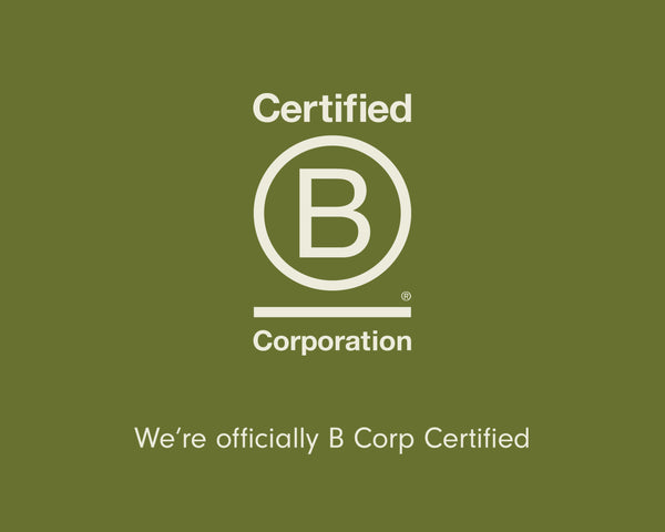 BCorp Campaign Callout Desktop