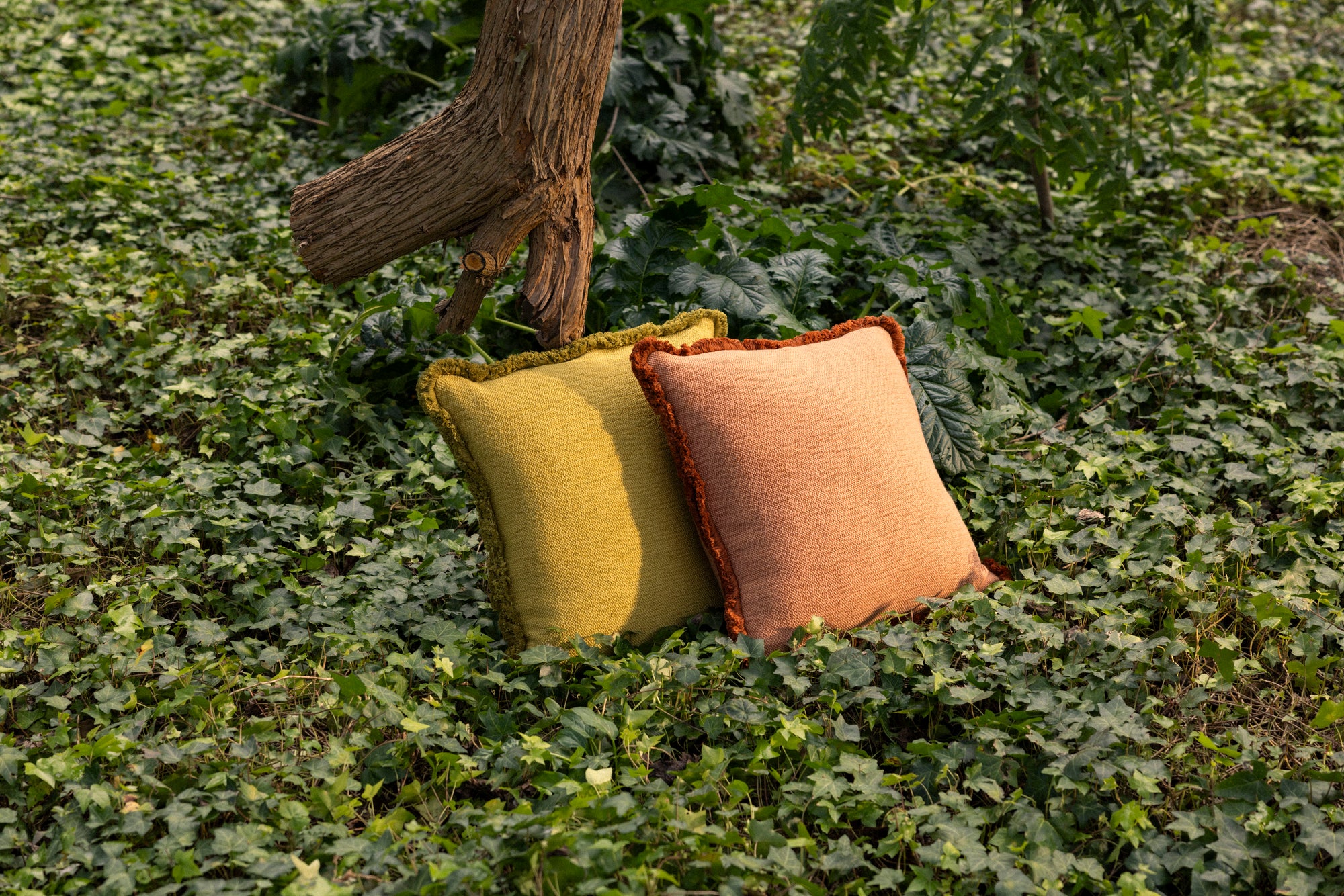 Cushions